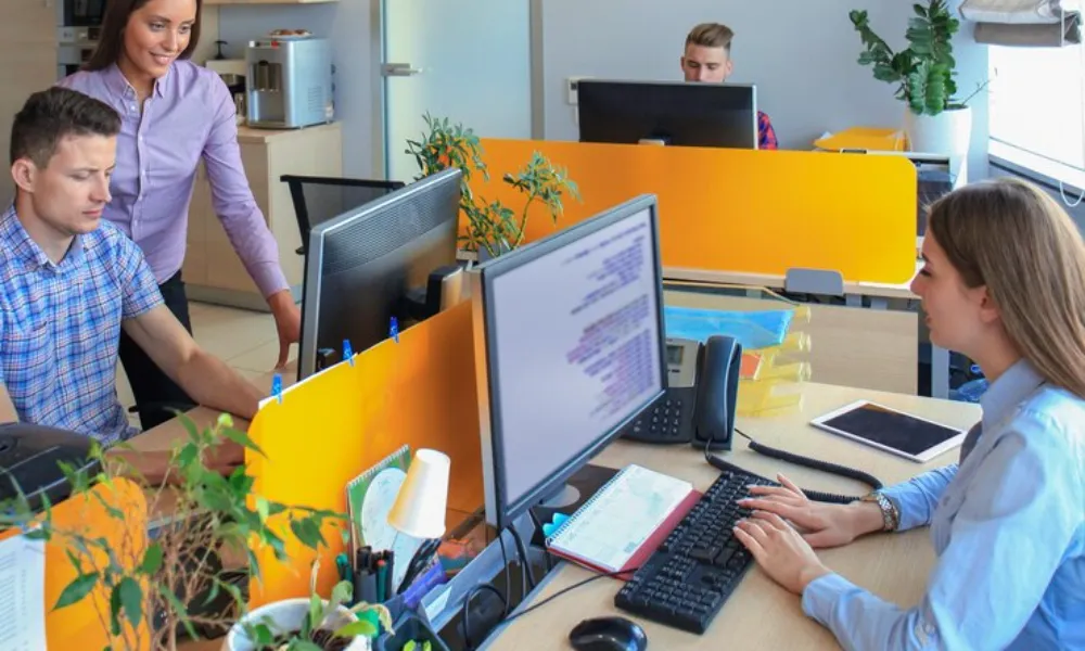 website development agency